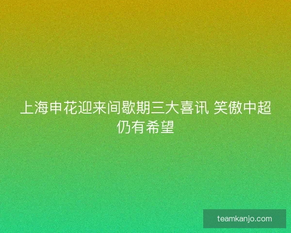 上海申花迎来间歇期三大喜讯 笑傲中超仍有希望